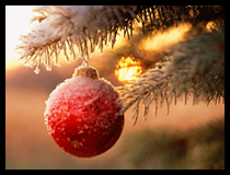 ����� ��� ��������!