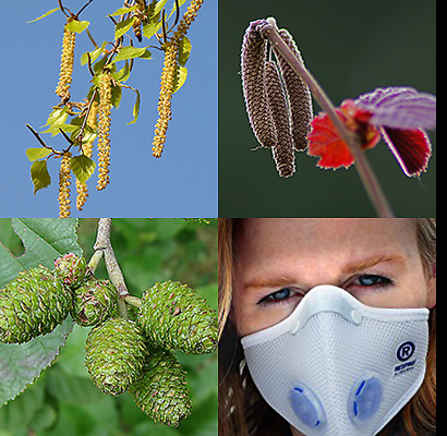 ������ � �����