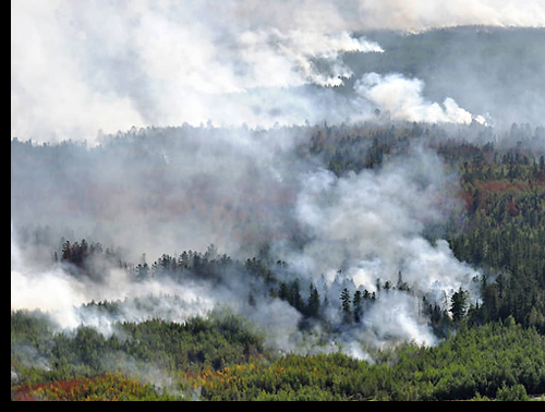 ������ ������