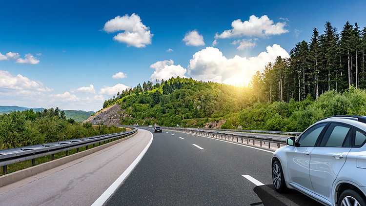 ���� �����